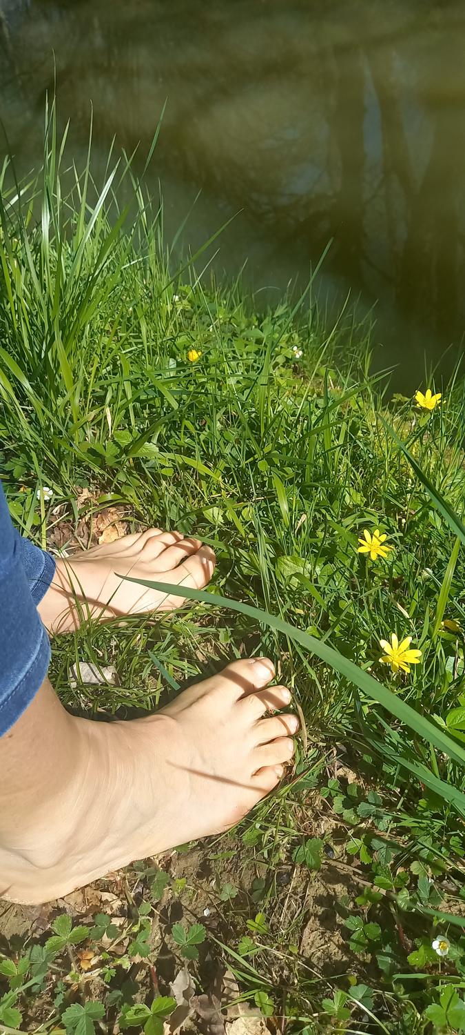 Pieds-nature's media