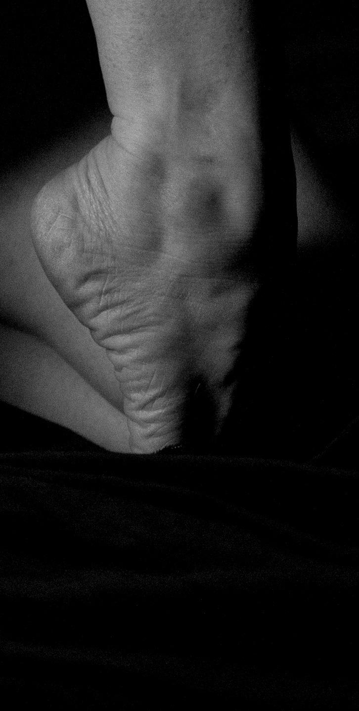 Pieds_plumes's media