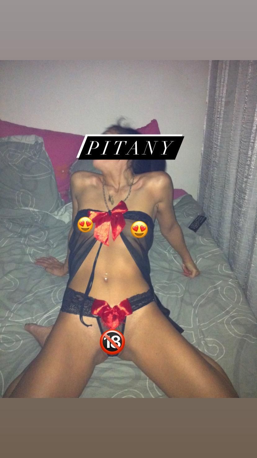 Pitany's media
