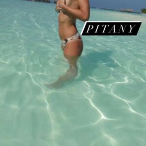 Pitany's media