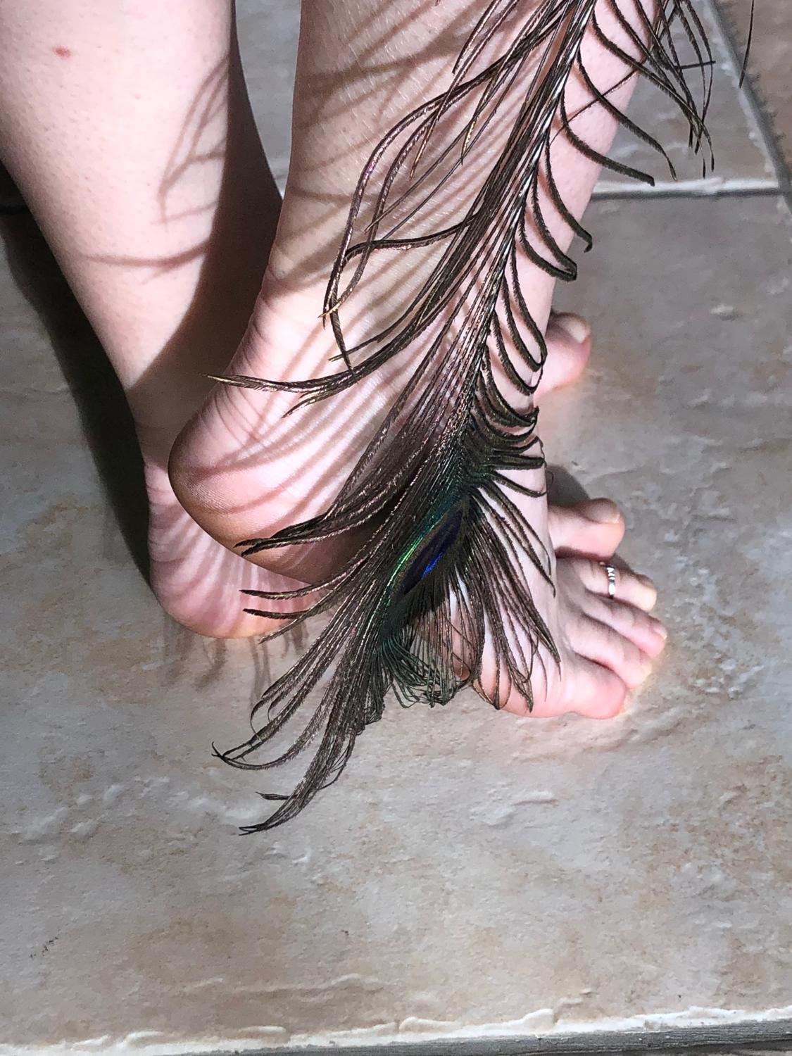 Prettypieds69's media