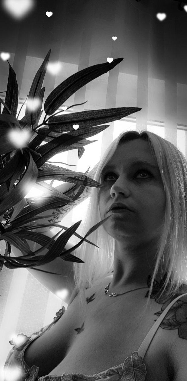 Princesse-coquine's media