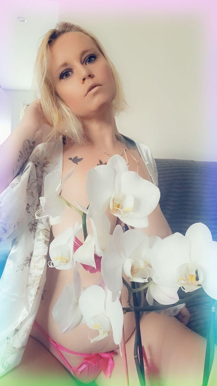 Princesse-coquine's media