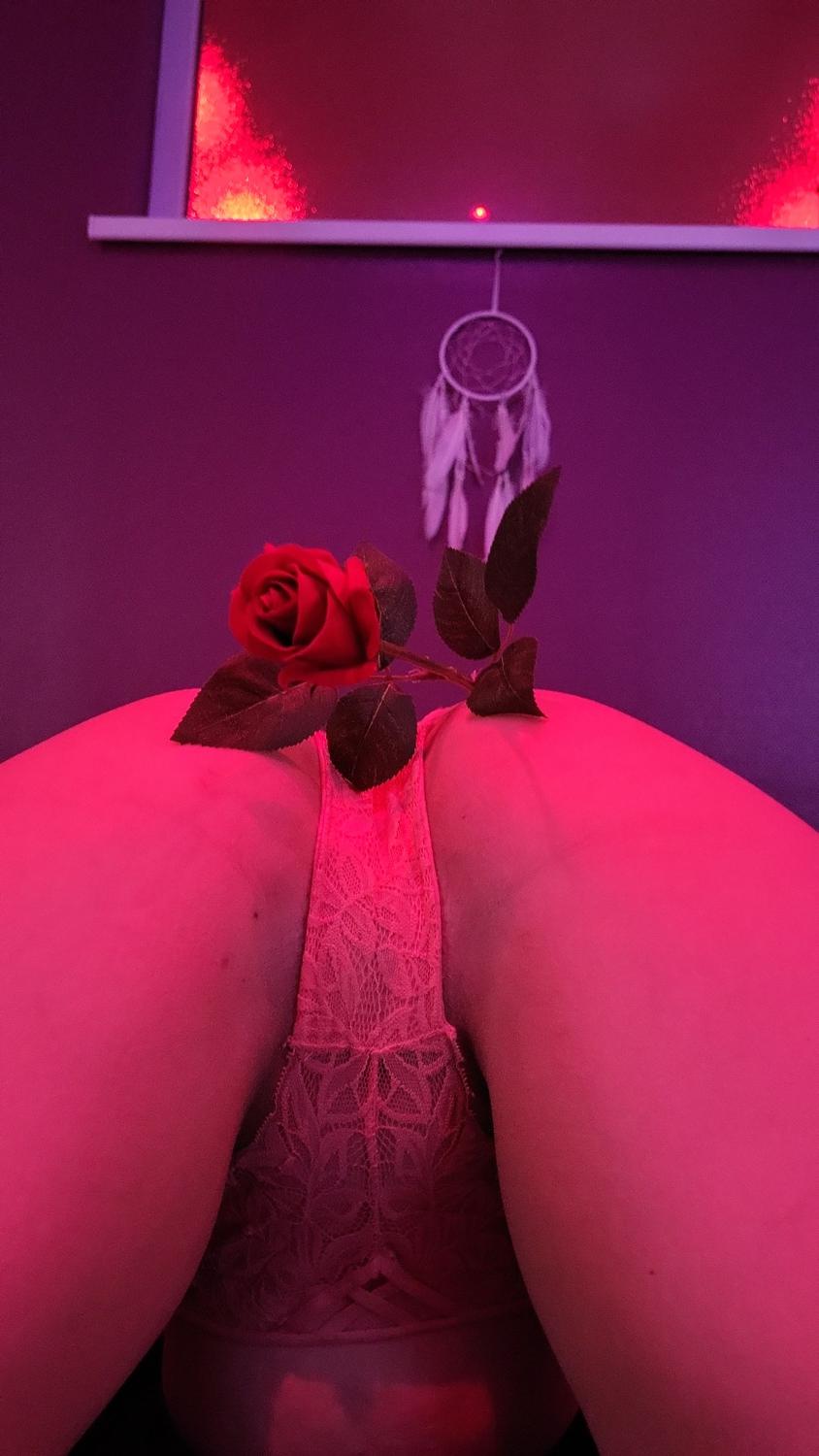 Princesse-coquine's media