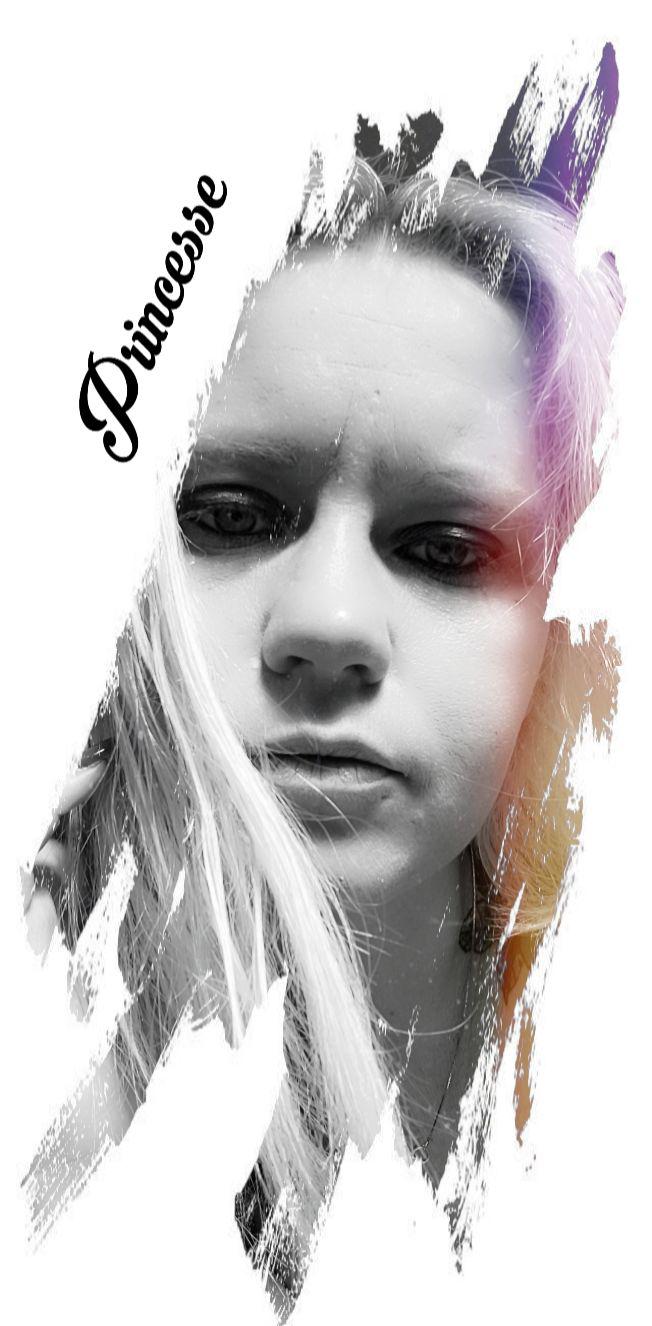 Princesse-coquine's media