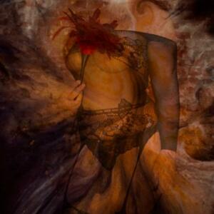 Princesse-coquine's media
