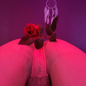 Princesse-coquine's media