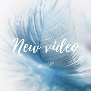 Princessleila's media