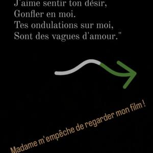 Ptitfauve's media