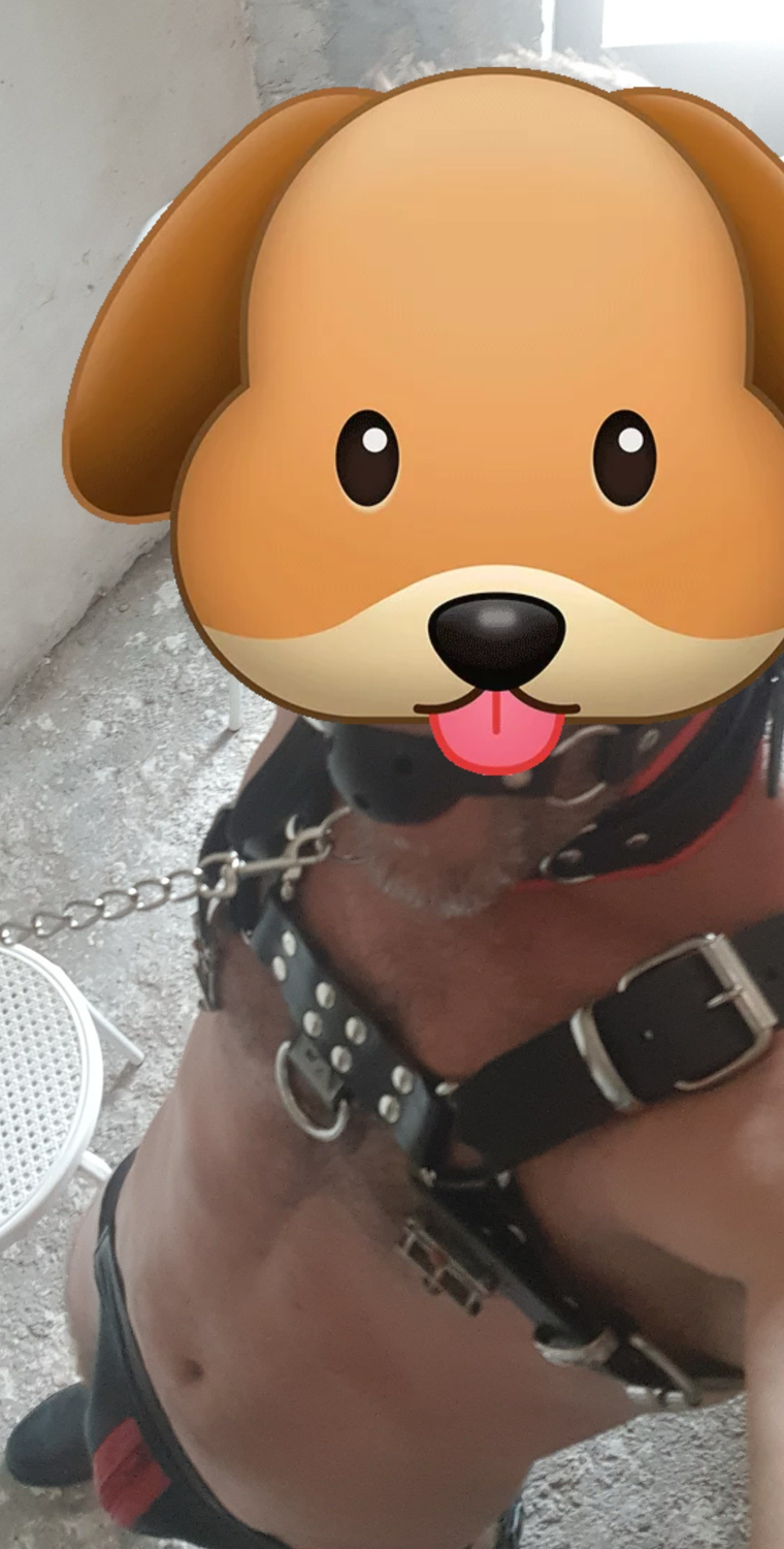 Puppy_onyx's media