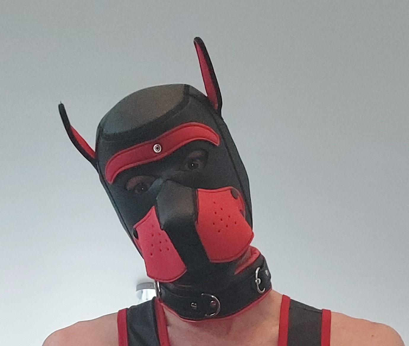 Puppy_onyx's media