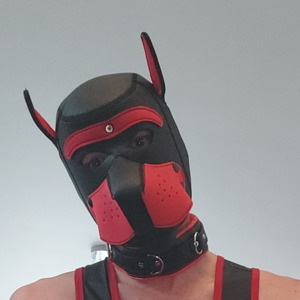 Puppy_onyx's media