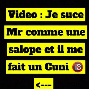 Reine_minette's media