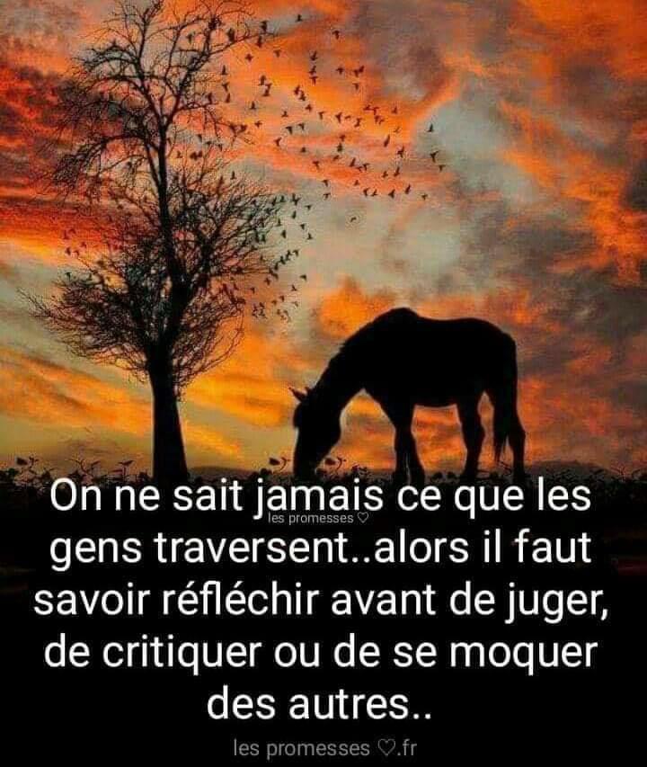 Reves_et_plaisir's media