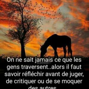 Reves_et_plaisir's media