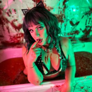 Romyred's media