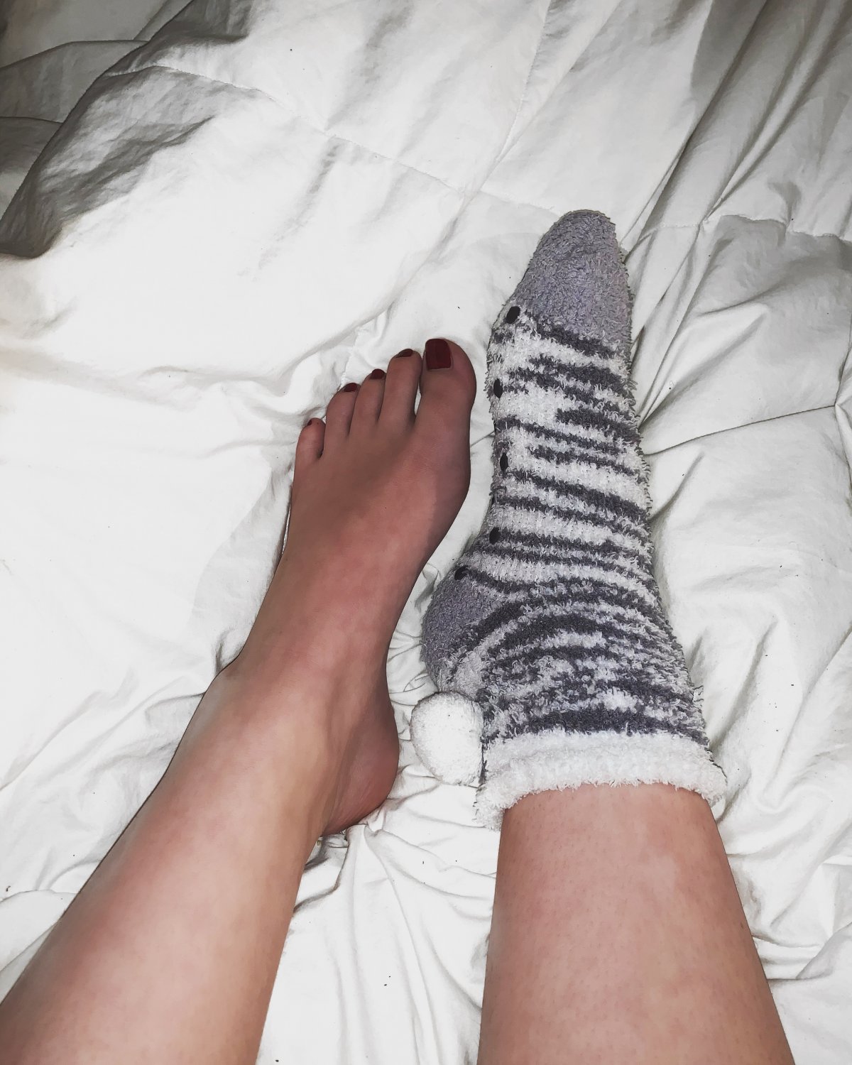 Roxanefeet's media