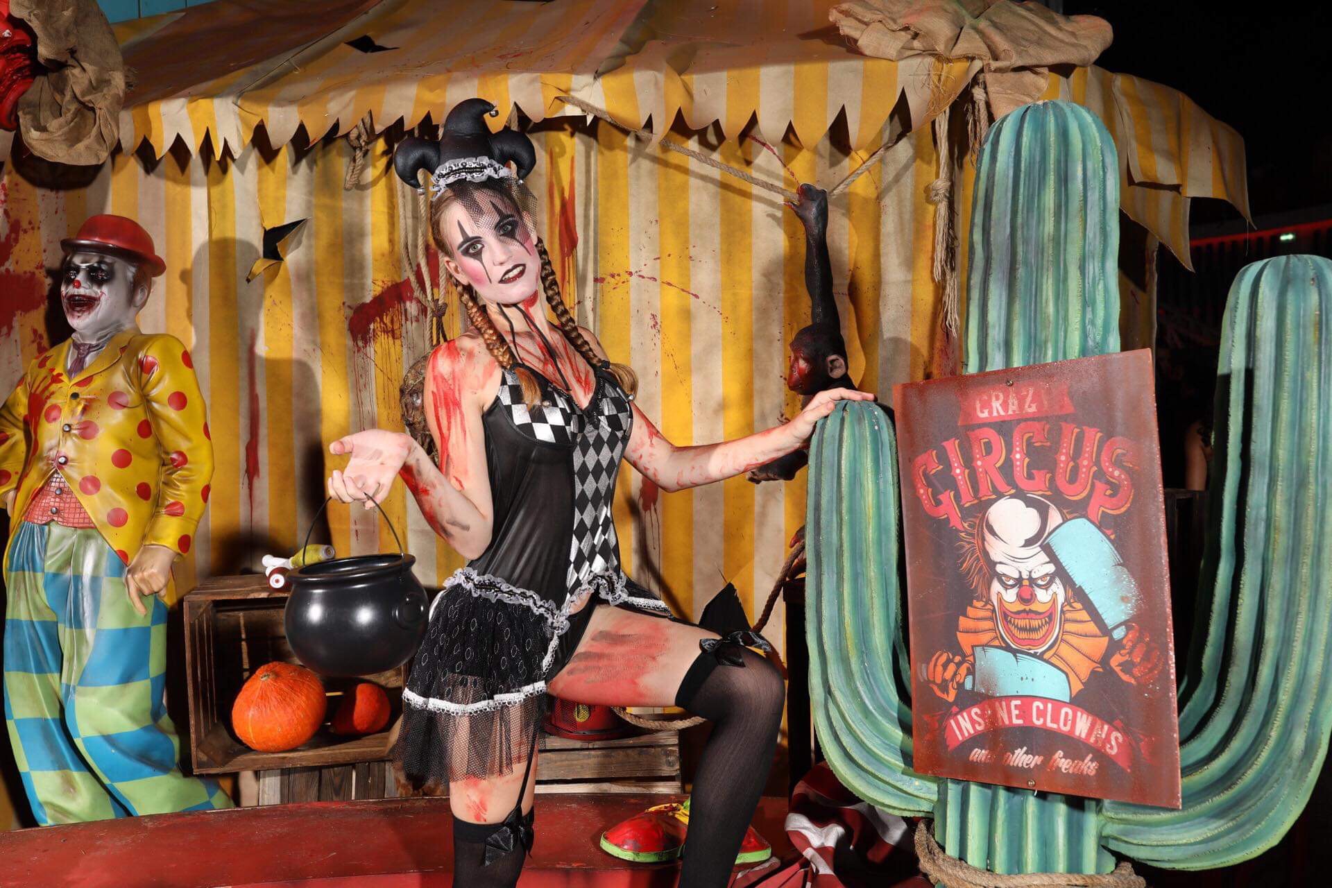Roxanne's media
