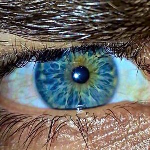 Sc0rlia's avatar