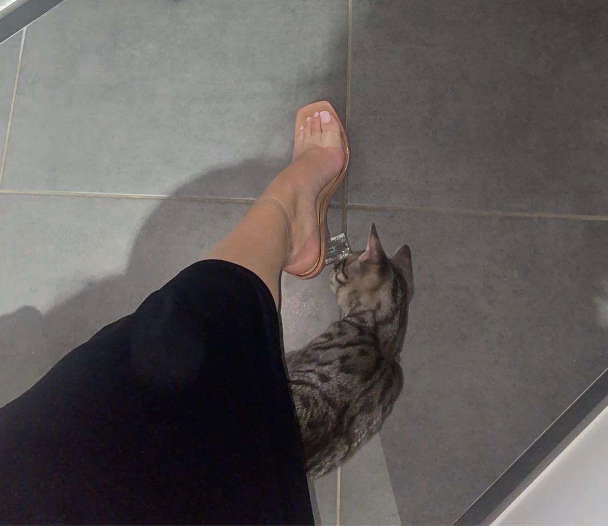 Serenalatinafeet's media