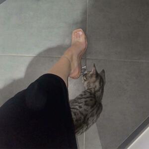 Serenalatinafeet's media