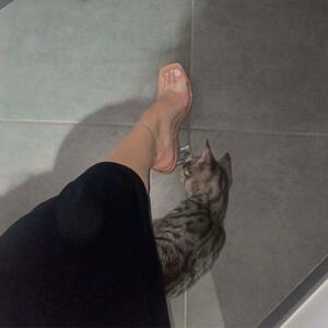 Serenalatinafeet's media
