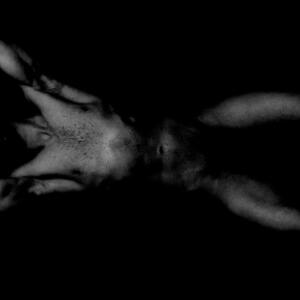 Sexpressionnous_s's media