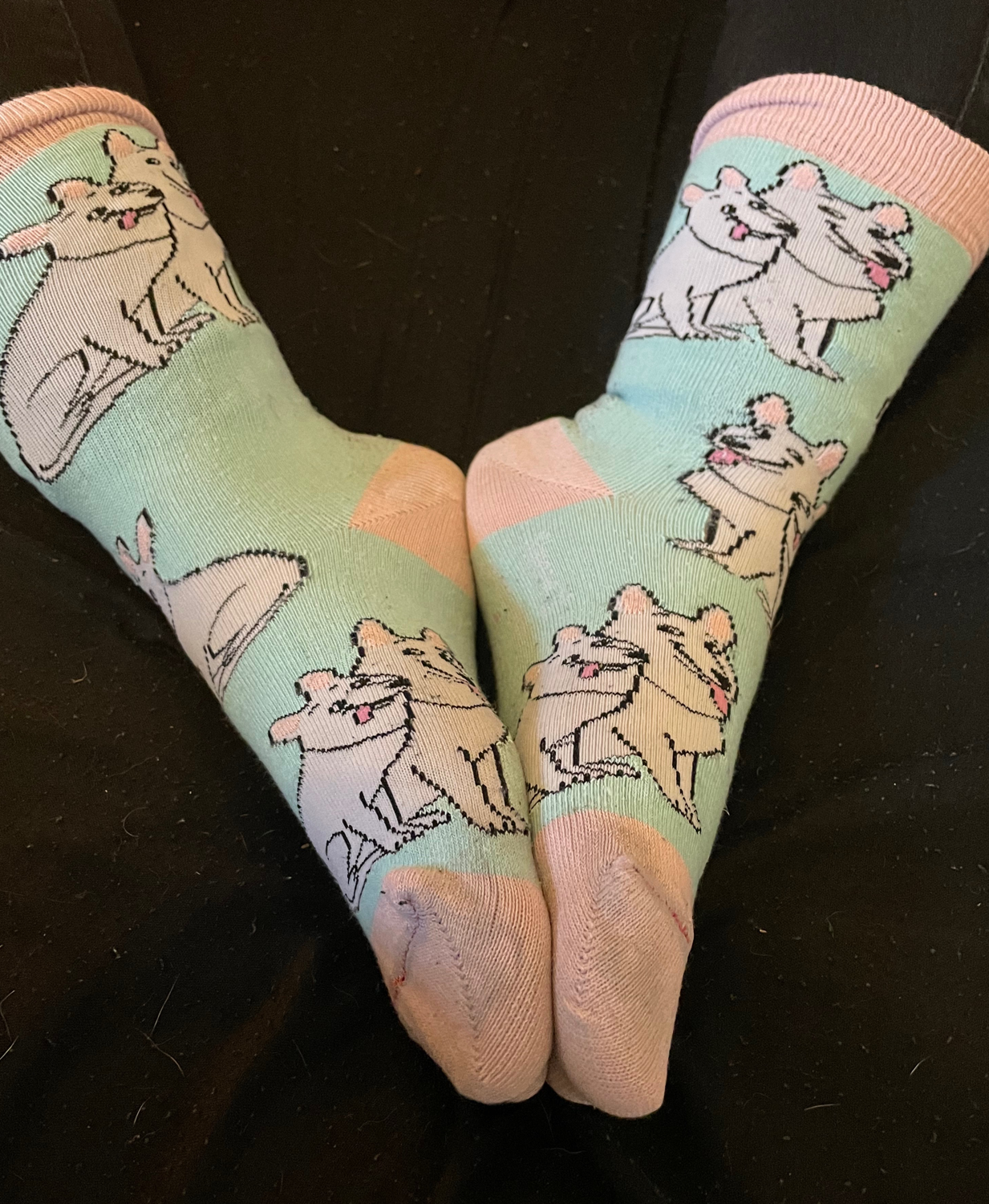 Sexy-feet-love's media