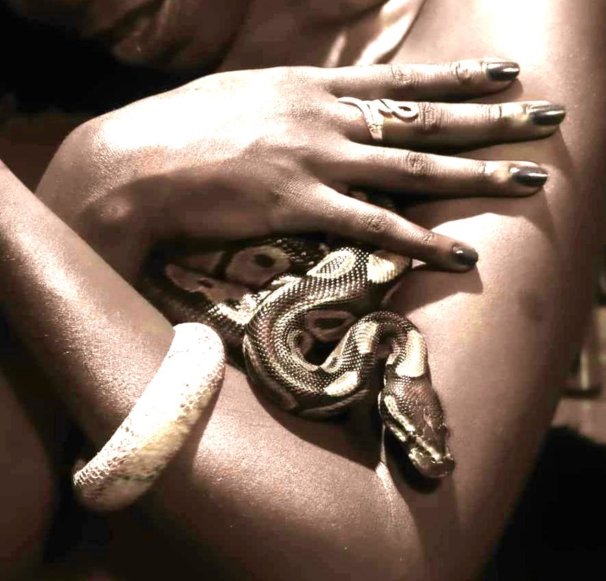Sexy-sensuality's media