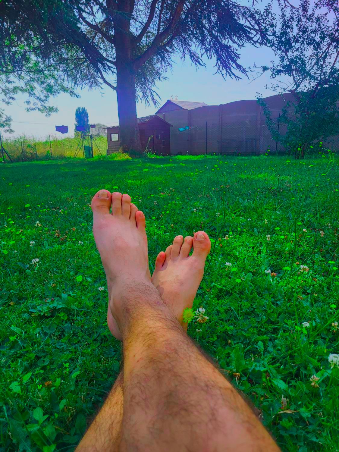 Sofeetmen's media