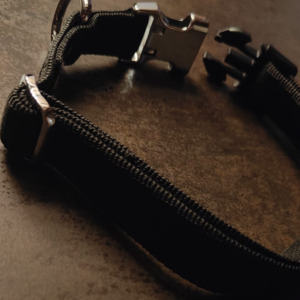 Soumise_sous_collier's media