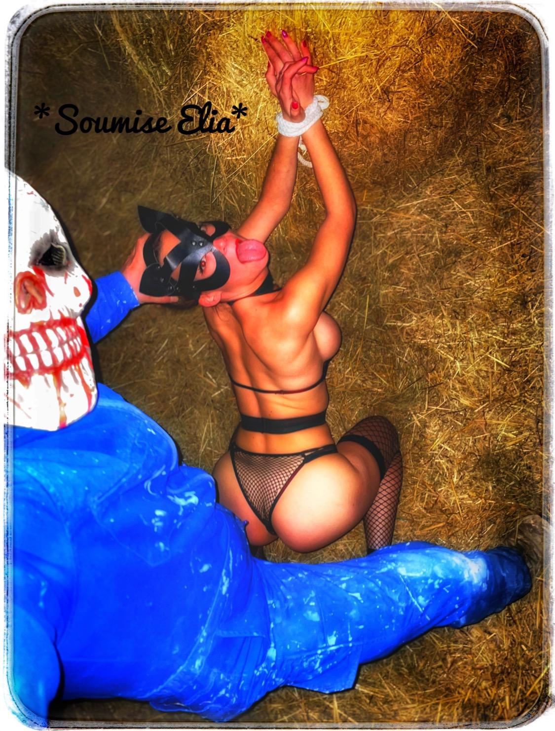 Soumiseelia's media