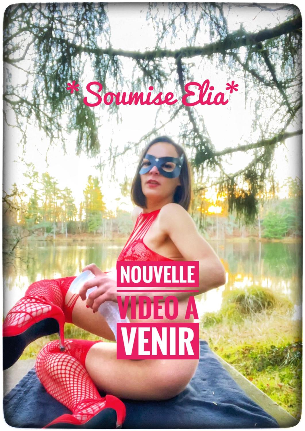 Soumiseelia's media