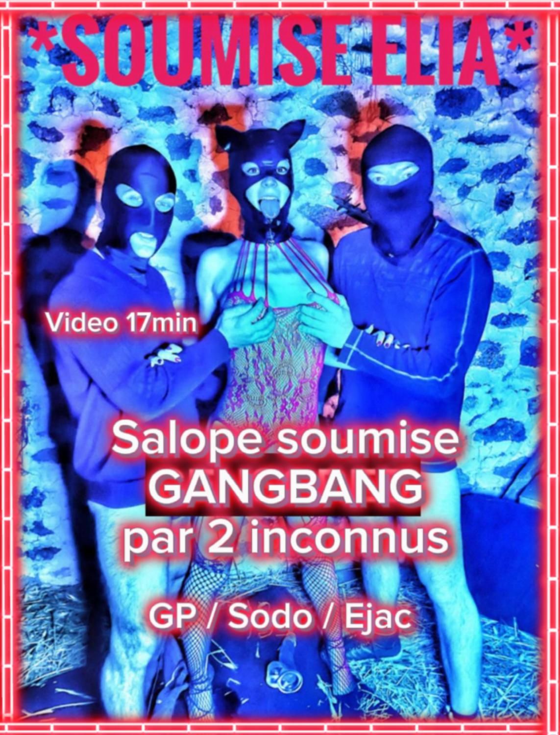 Soumiseelia's media