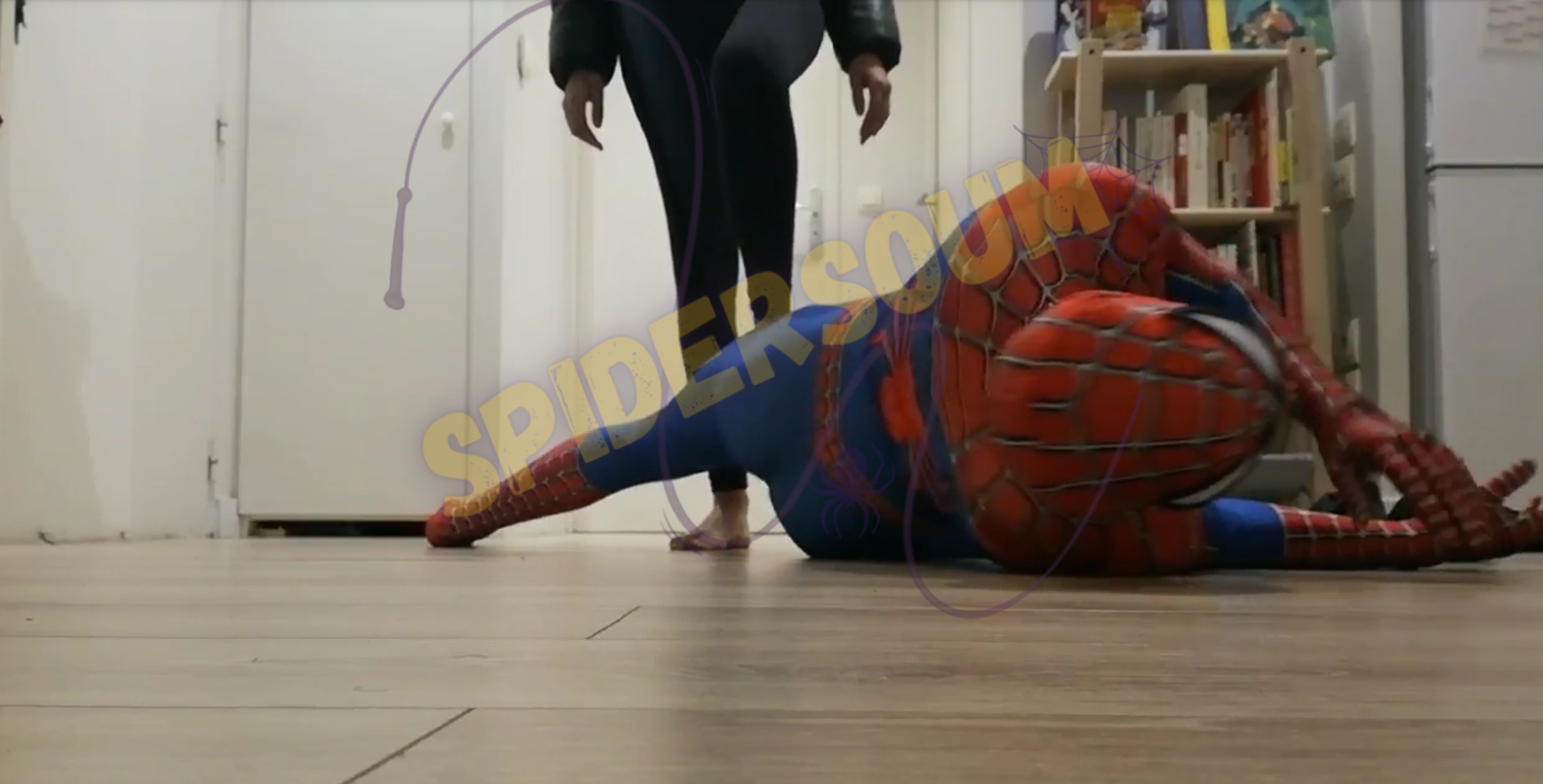 Spidersoum's media