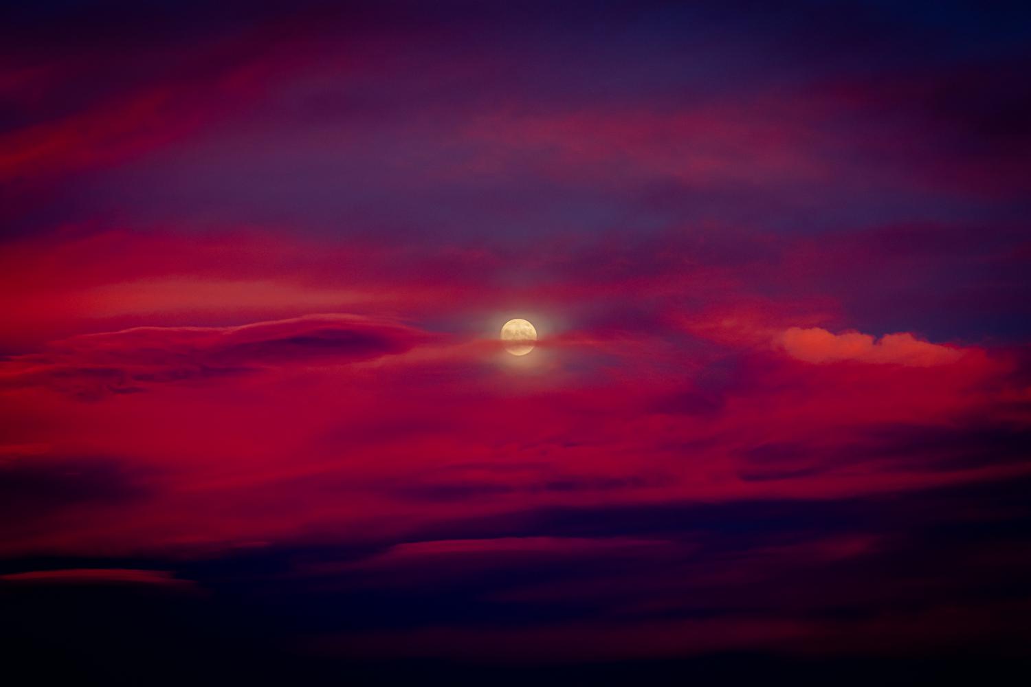 Stefanos_art_photography's media
