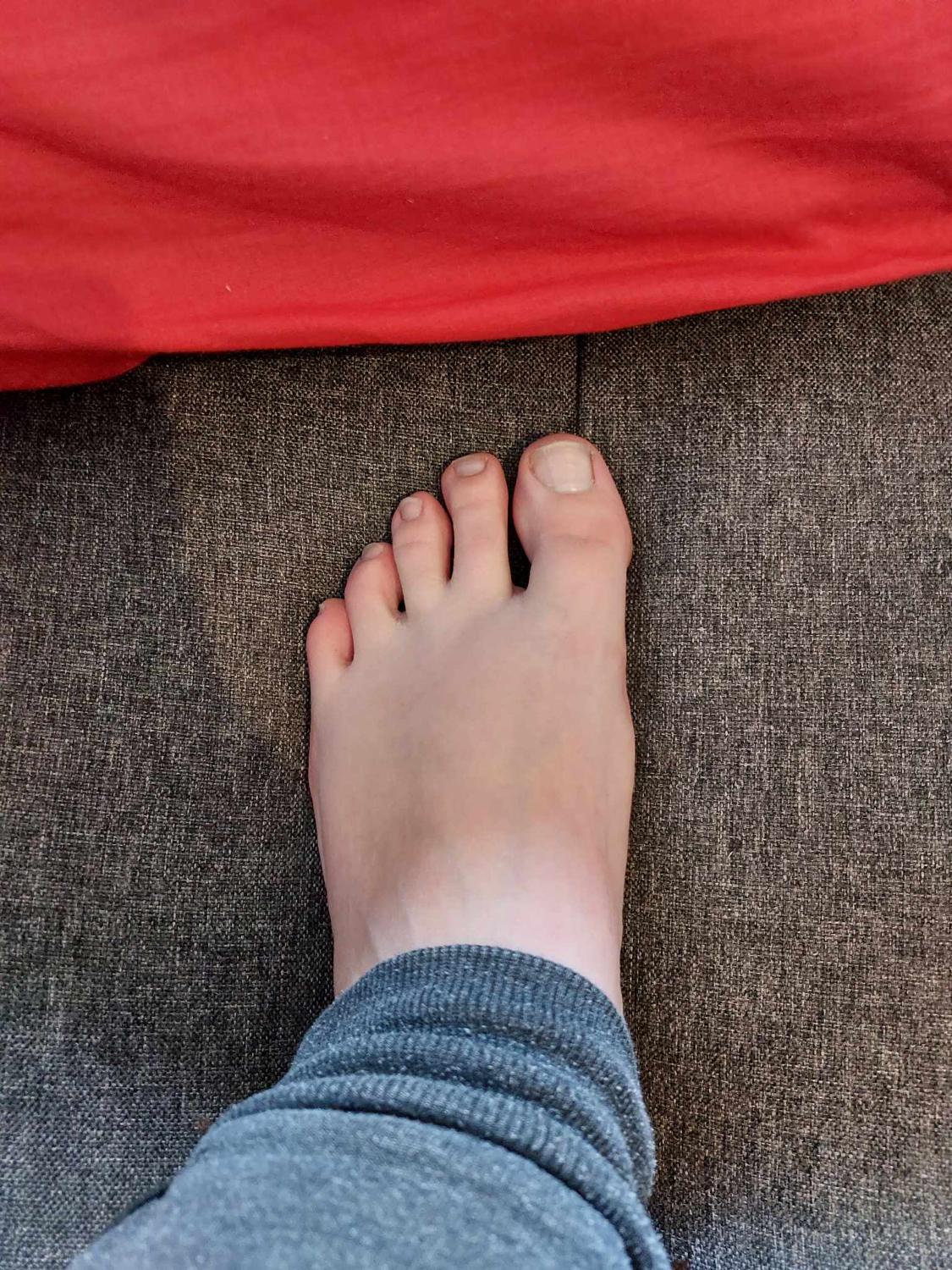 _stella-feet's media