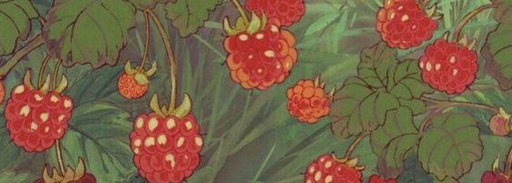 Strawberrylove's media