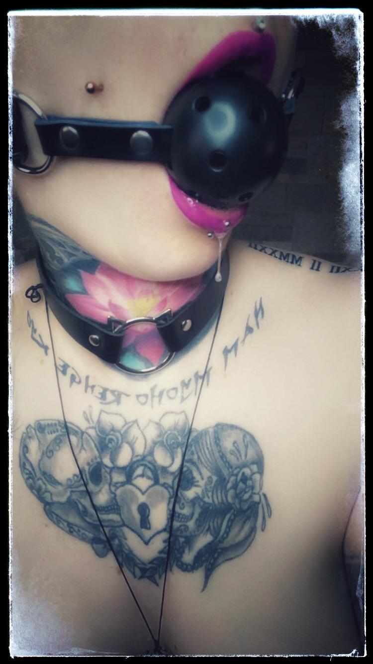 Sub_sya_inked's media