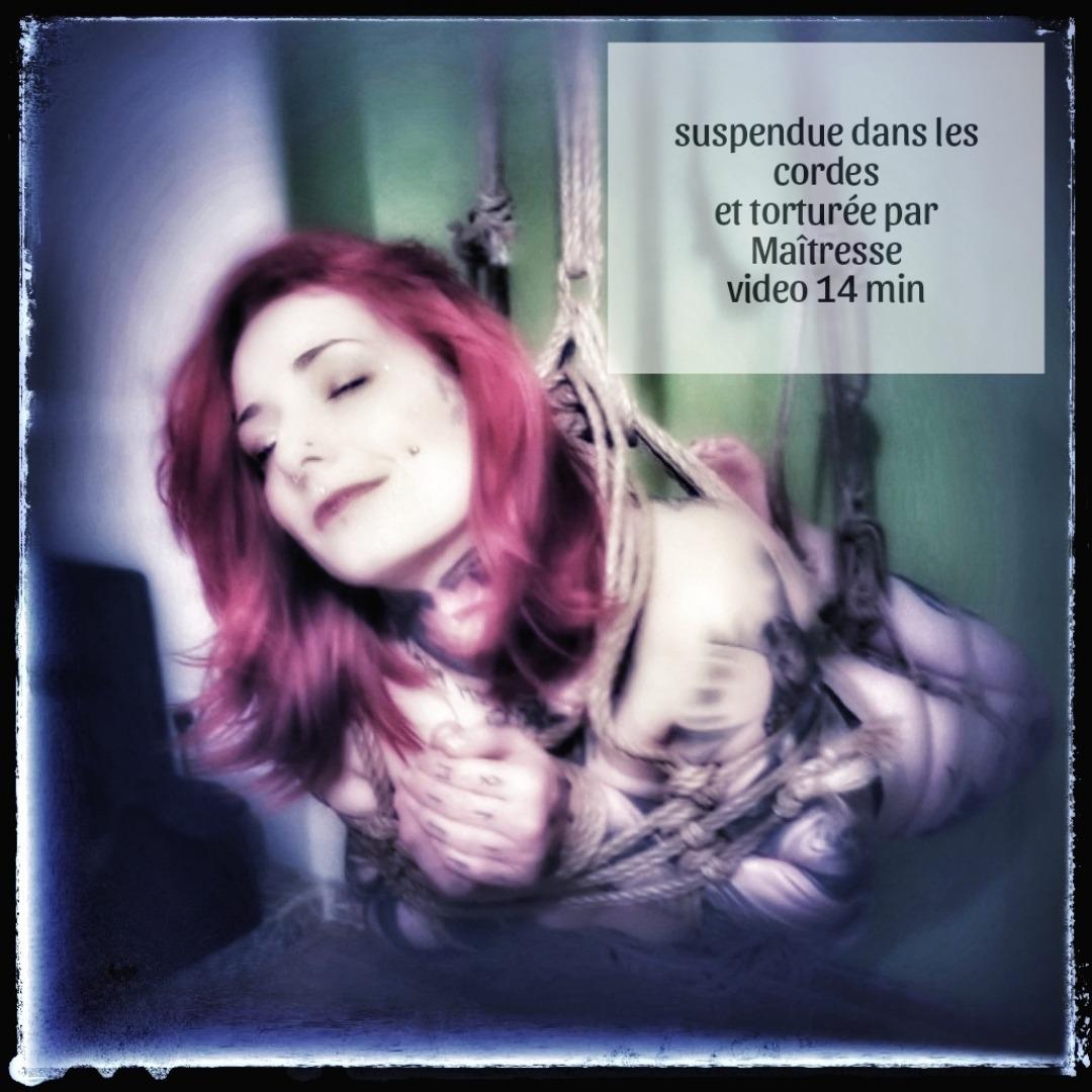 Sub_sya_inked's media