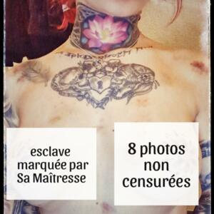 Sub_sya_inked's media