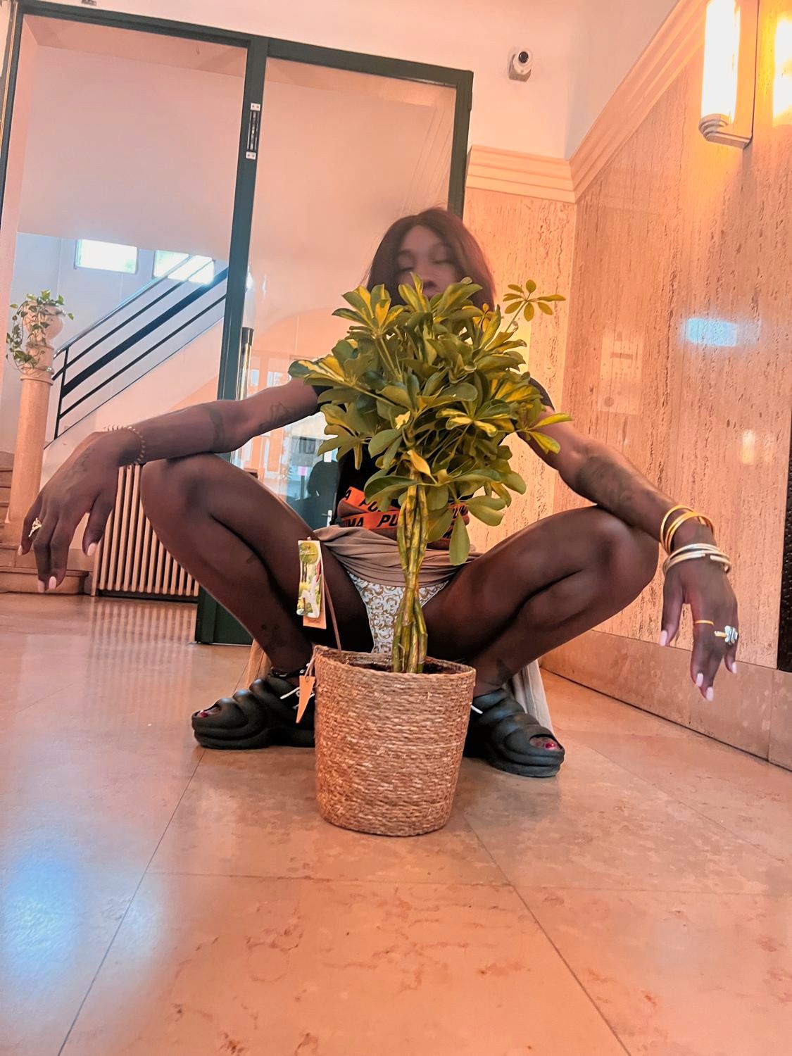 Sunbony's media