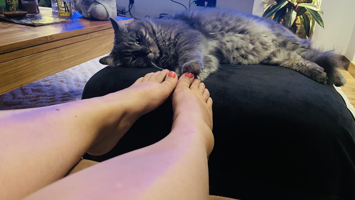 Sweetfeetsins's media