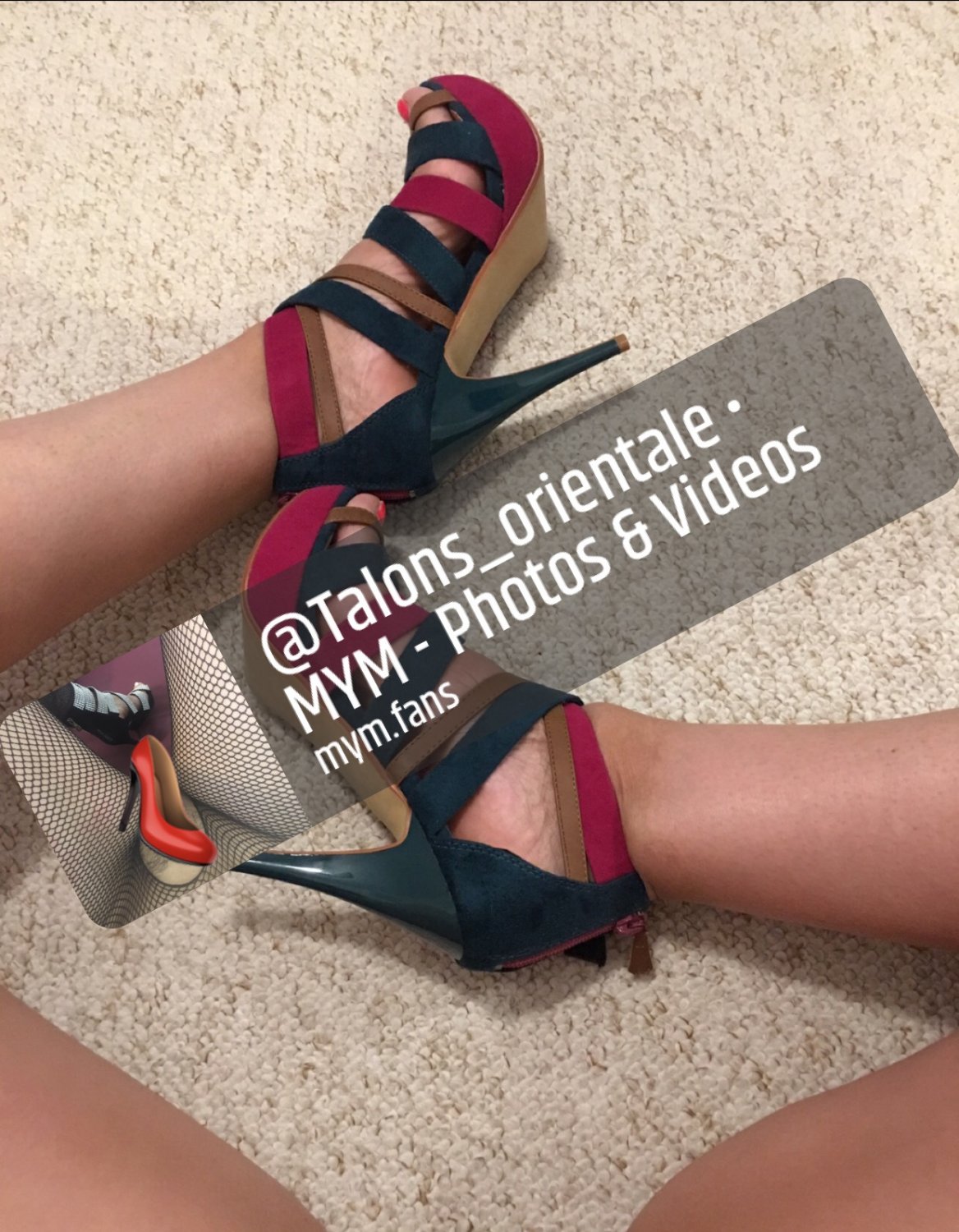 Talons_orientale's media