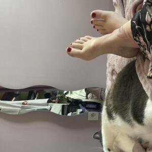 Tattooedfoot's media