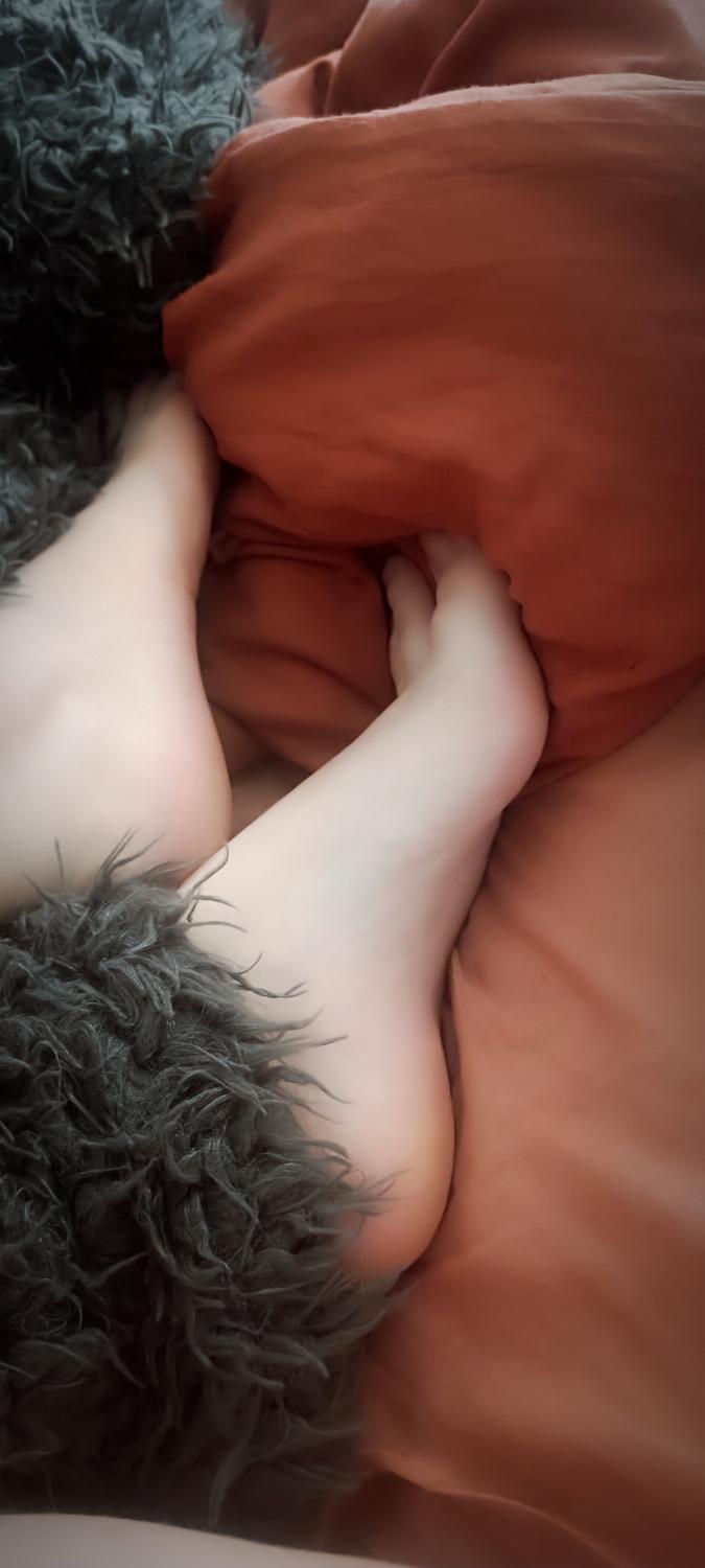 The_velvet_feet's media