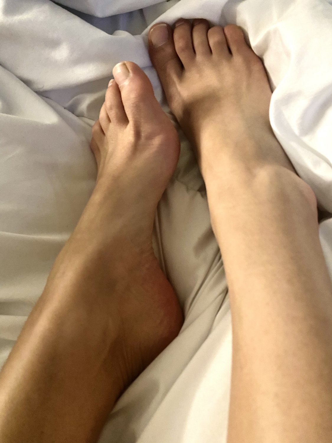 Thefrenchyfeet's media