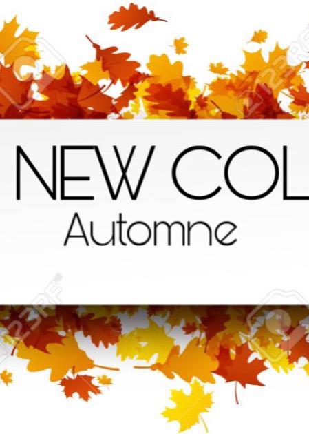 Thenewcolibri's media