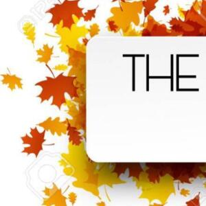Thenewcolibri's media