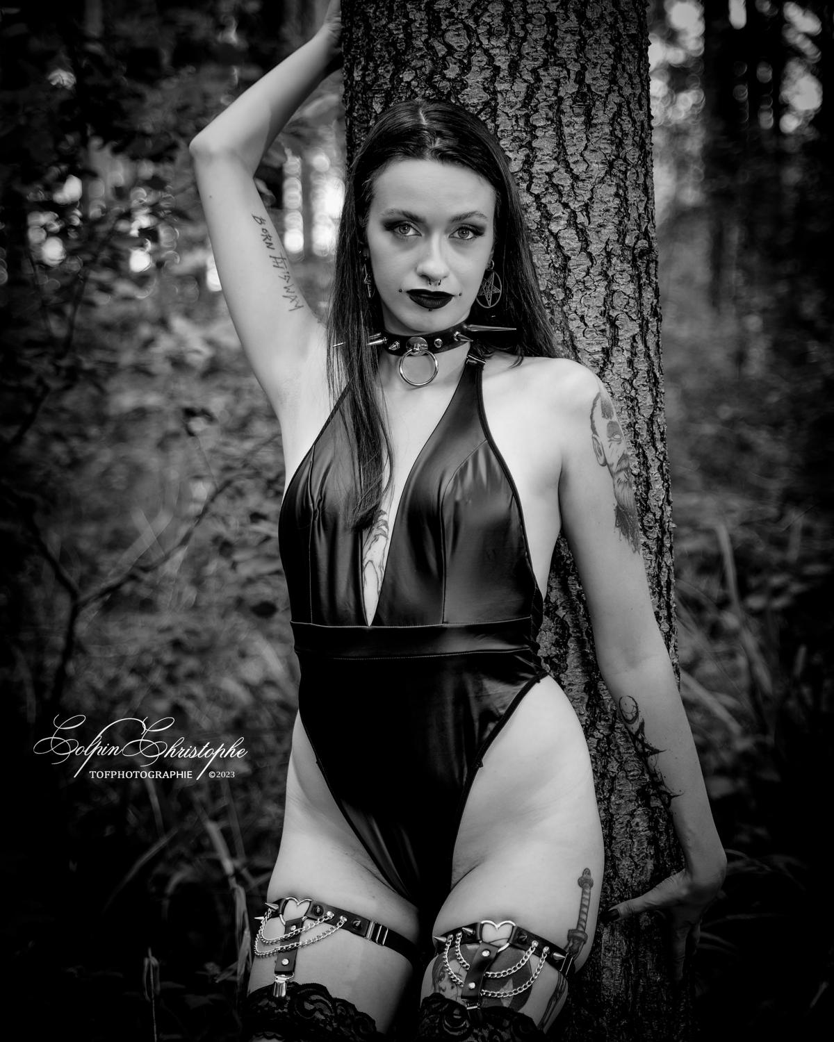 Tofphotographie's media